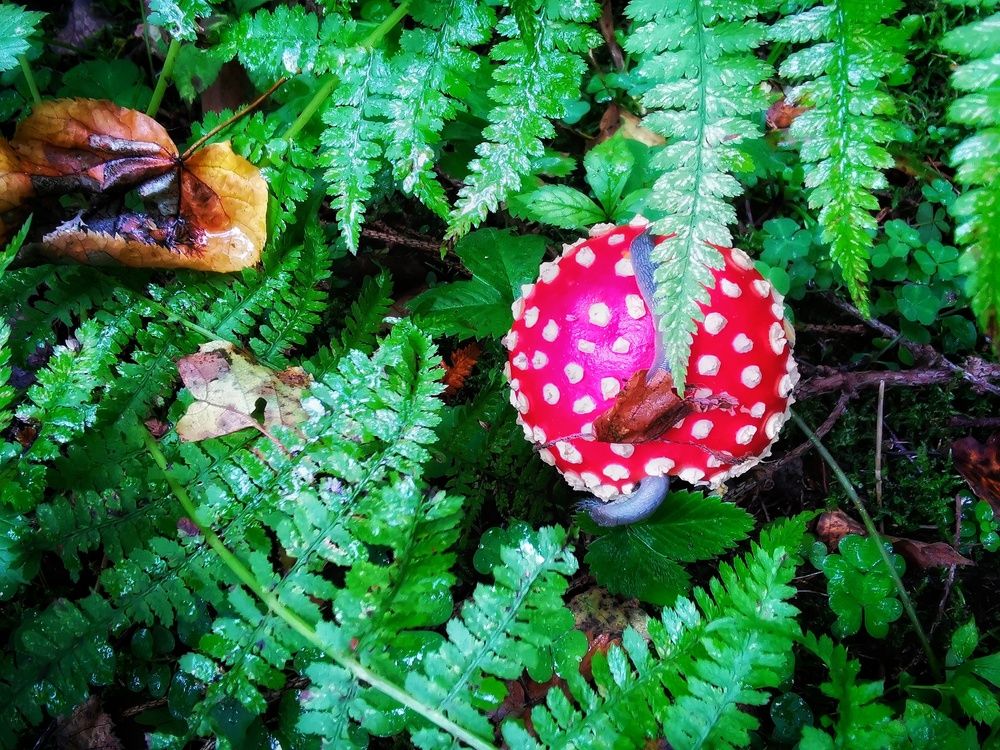 Photograph by Елена Артёменко