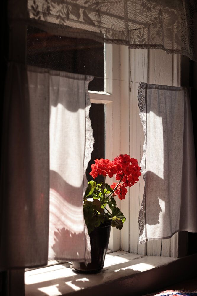 Photograph by Анна