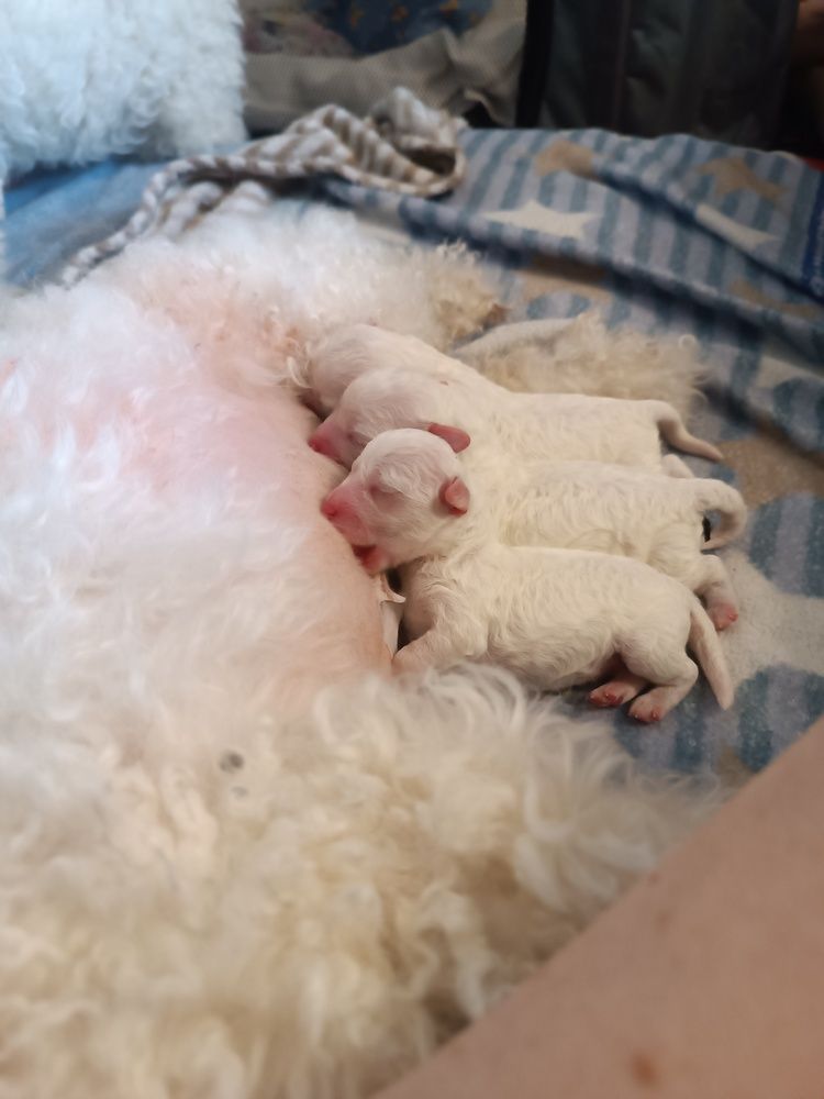 Photograph by Nikita Zorin