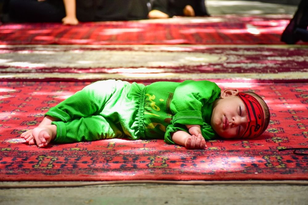 Photograph by Mansouri Mohammad mahdi