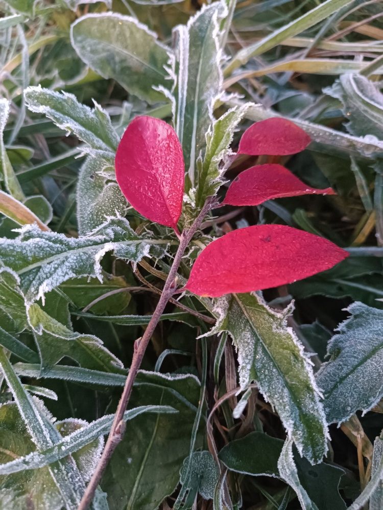 Photograph by Nikita Zorin