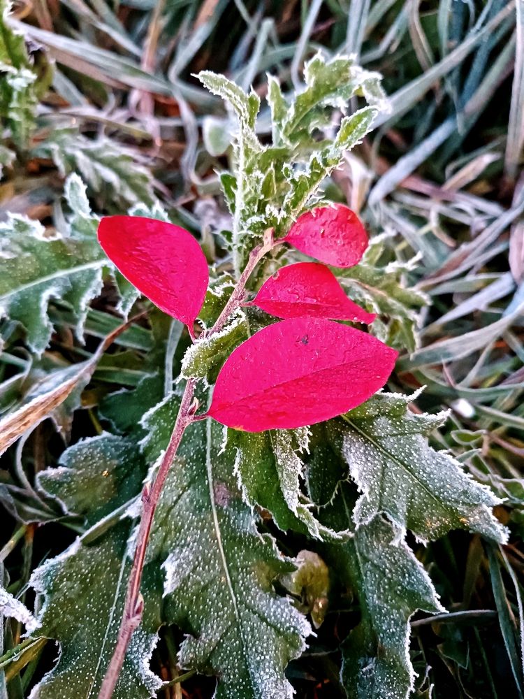 Photograph by Nikita Zorin