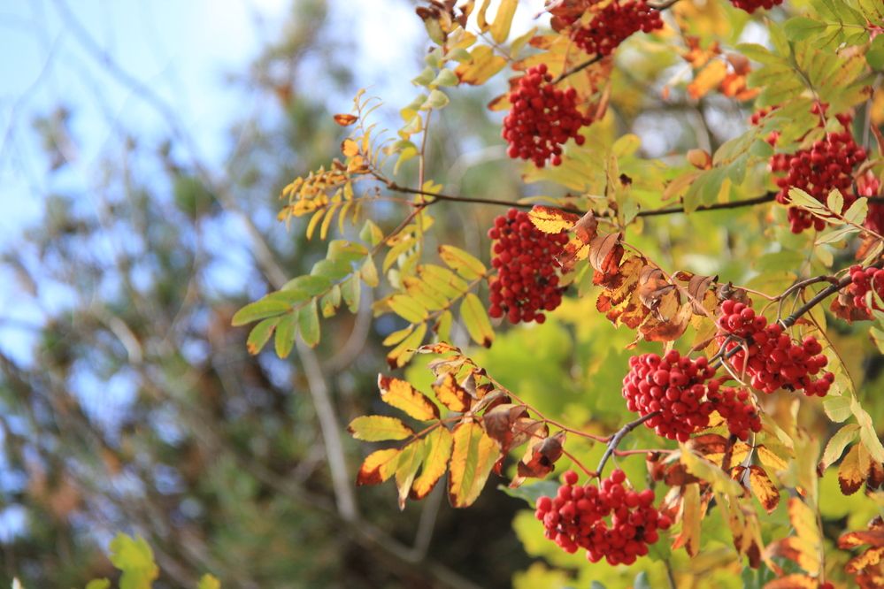 Photograph by Nikita Zorin