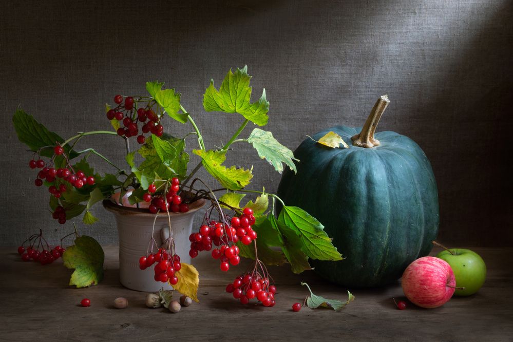 Натюрморт с зеленой тыквой и калиной