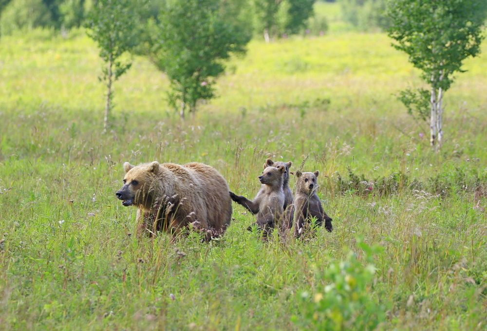 Photograph by Наталья Турчик