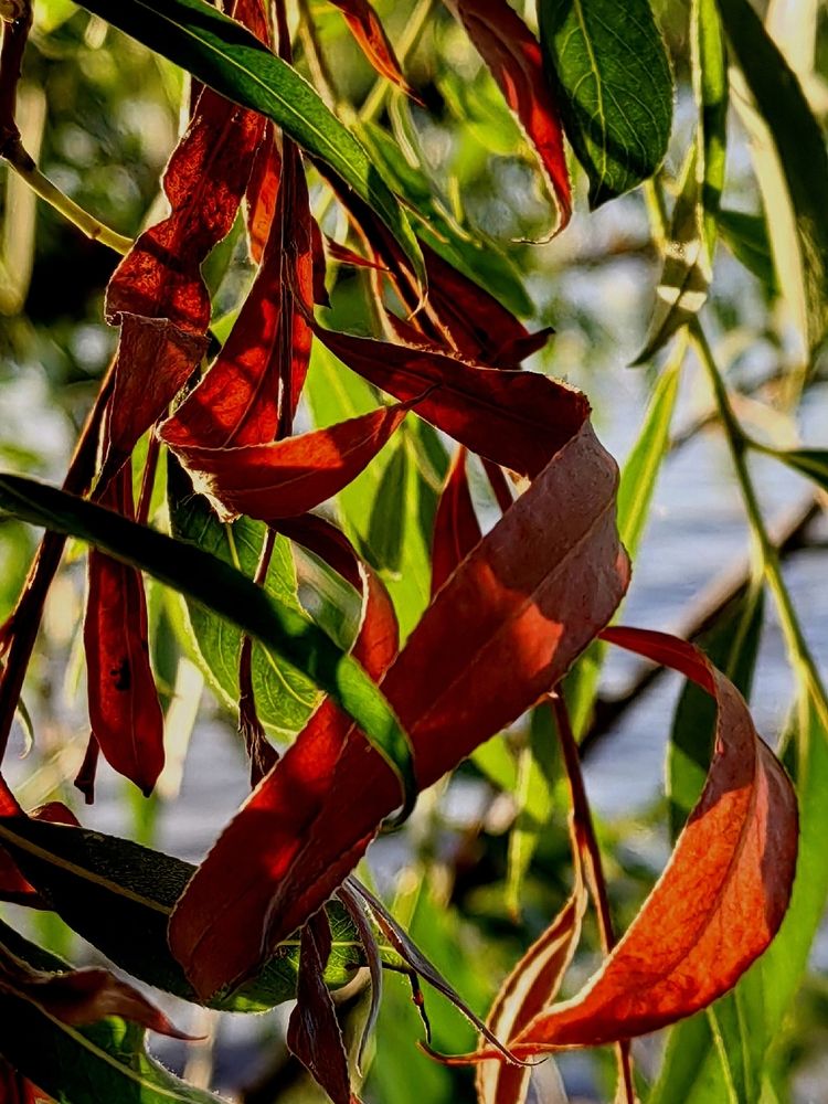 Photograph by Арина Черникова