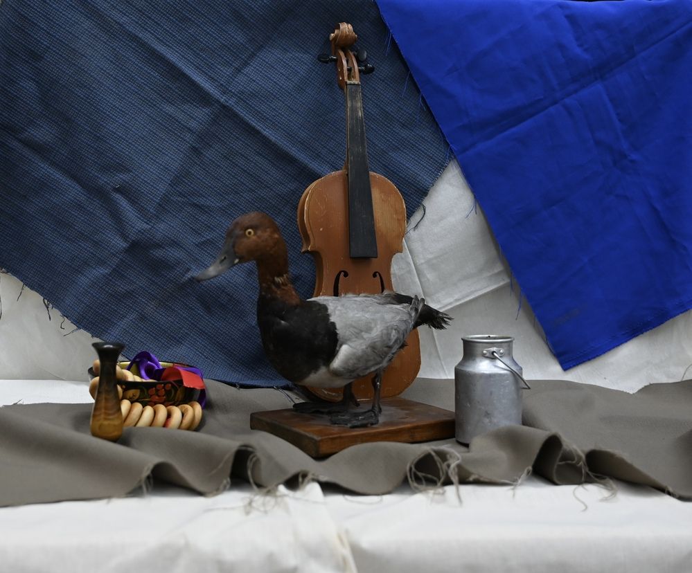 Фотография автора Viktoria