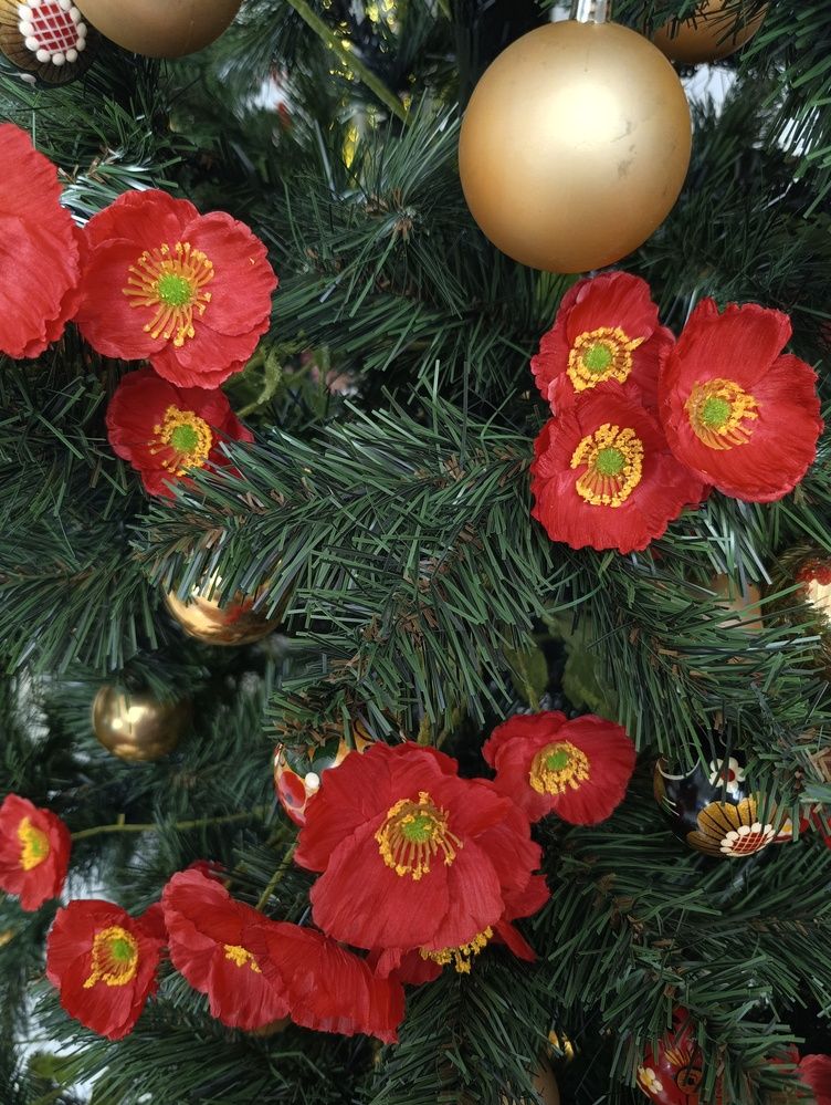 Фотография автора Елена Александрова