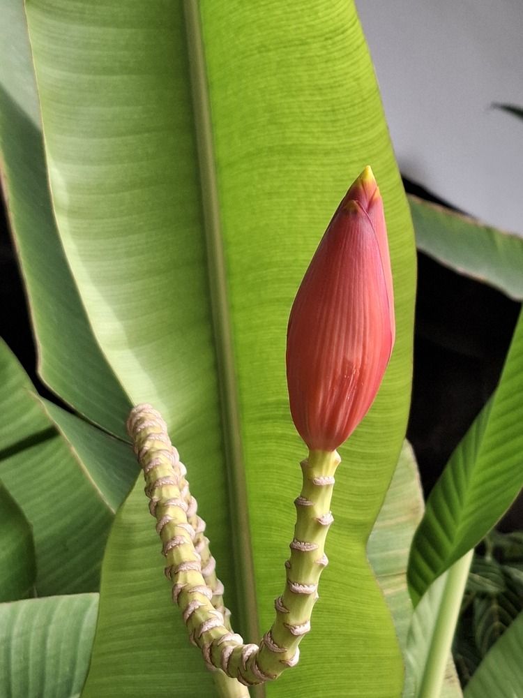 Фотография автора Asya