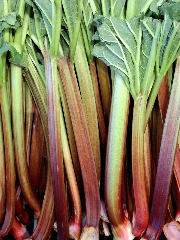 Фотография автора Asya