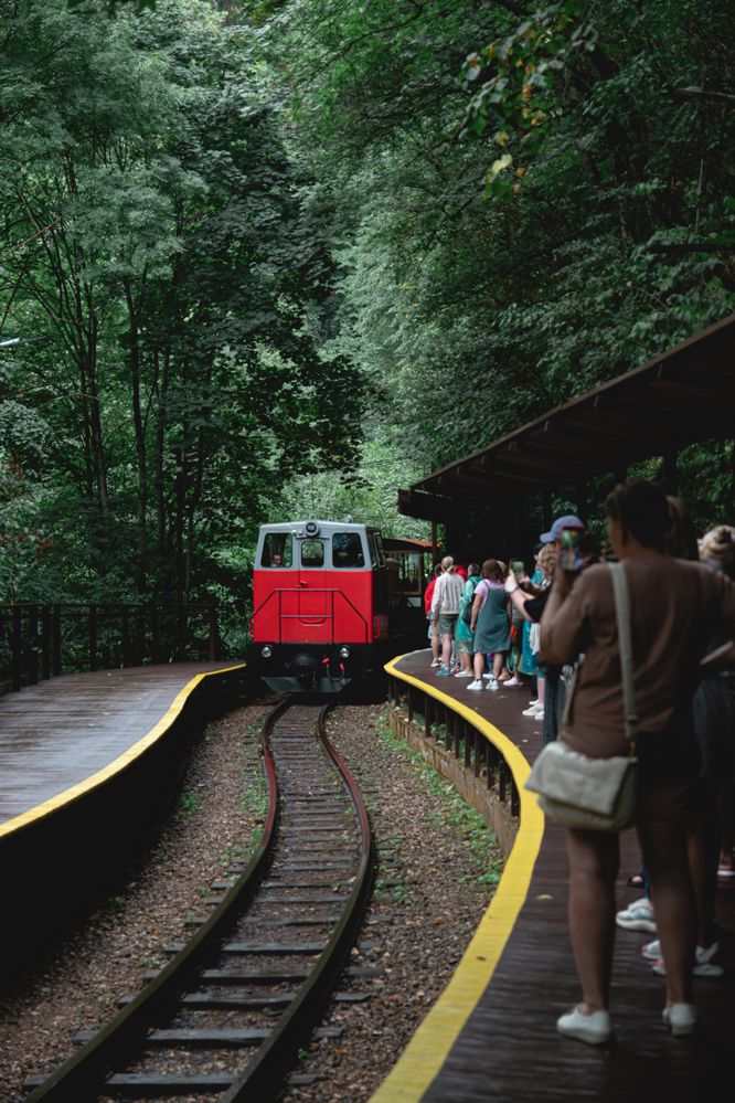 Photograph by Анастасия Дементьева