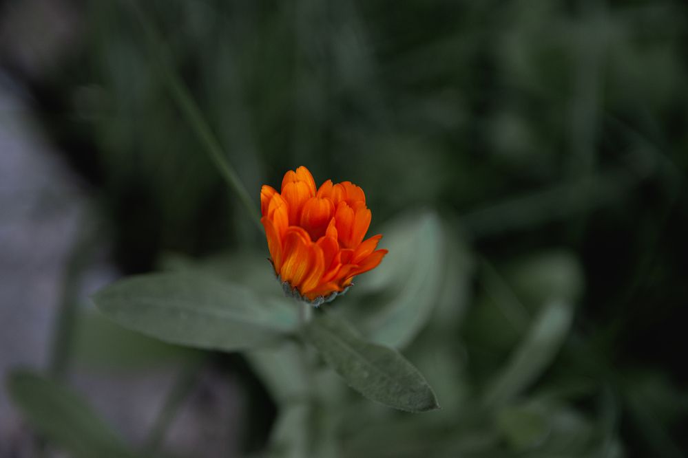 Photograph by Анастасия Дементьева