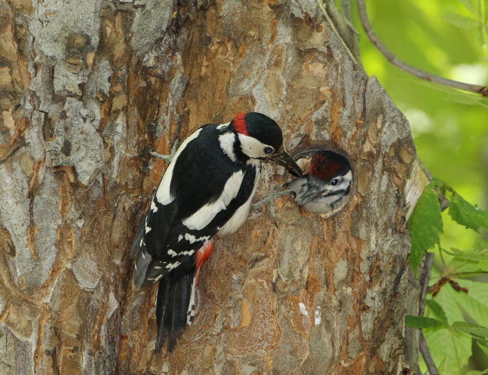 Photograph by Наталья Турчик