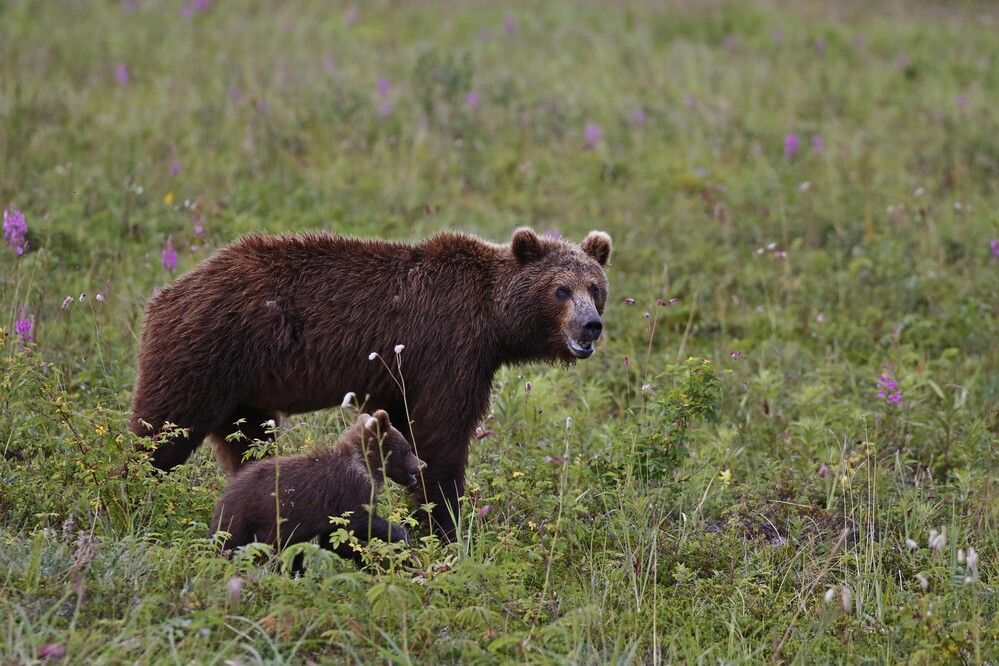 Photograph by Наталья Турчик