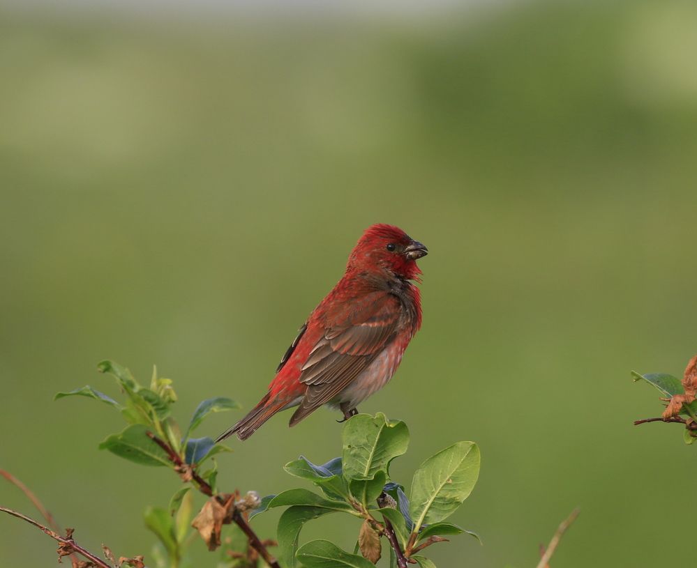 Photograph by Наталья Турчик