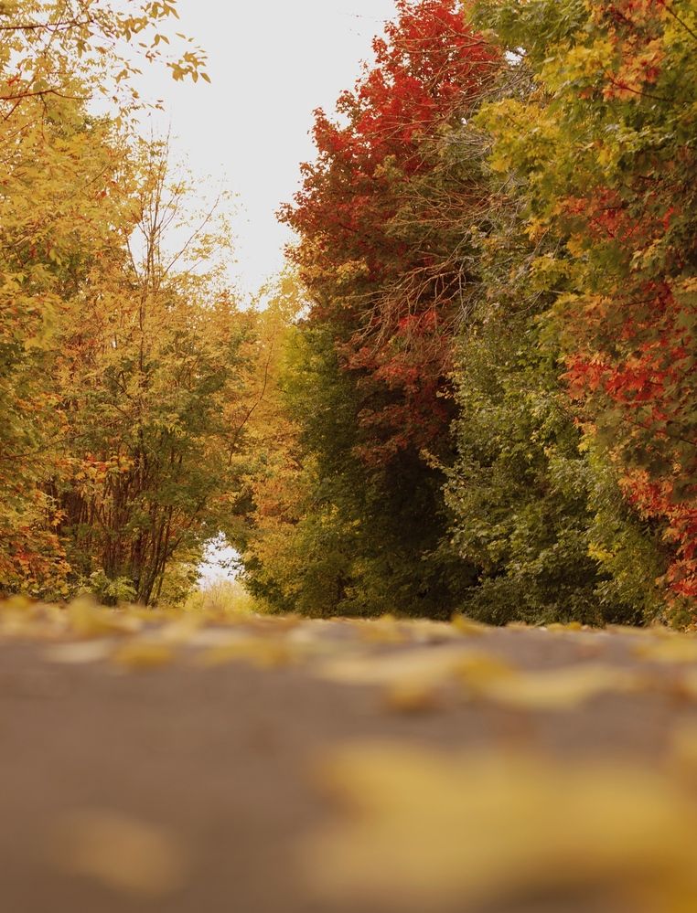 Photograph by АЛЛА ТАРАСЕНКО