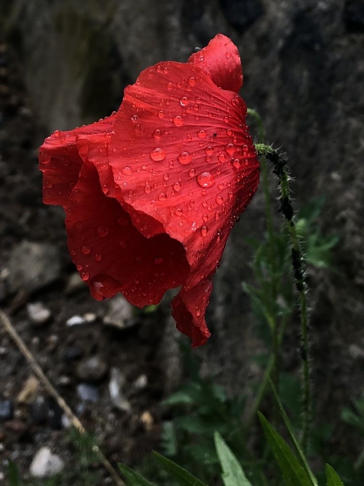 Photograph by Valentina Jegorova