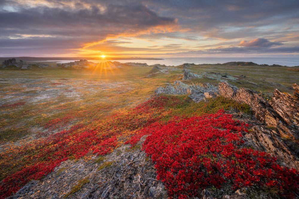 Photograph by Михаил Широбоков