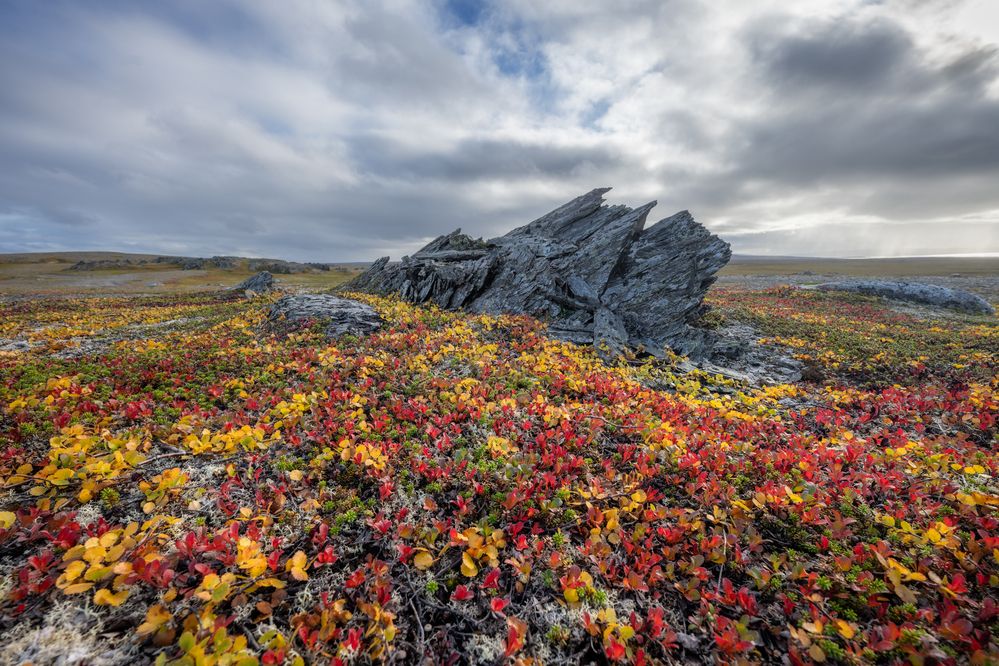 Photograph by Михаил Широбоков