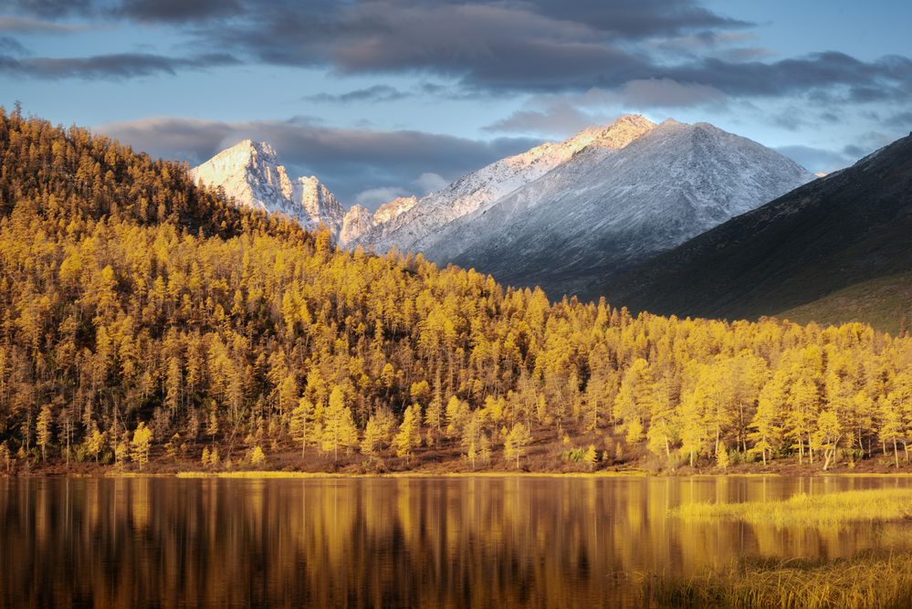 Photograph by Михаил Широбоков