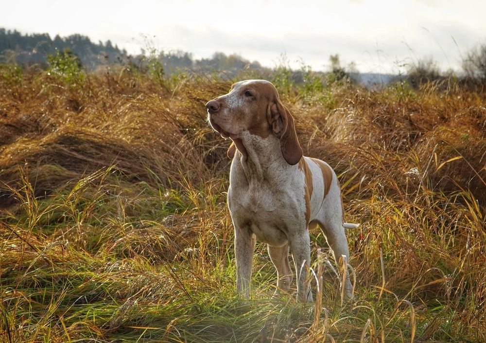 Photograph by Марина Безенкина