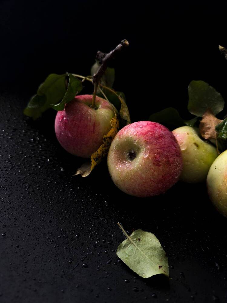 Photograph by Катрина Покумейко