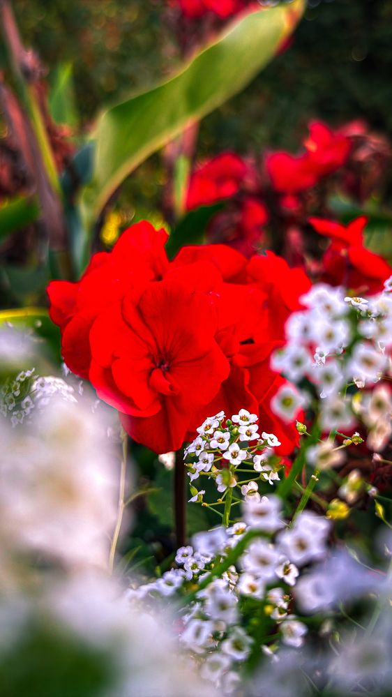 Фотография автора Елизавета Синицына