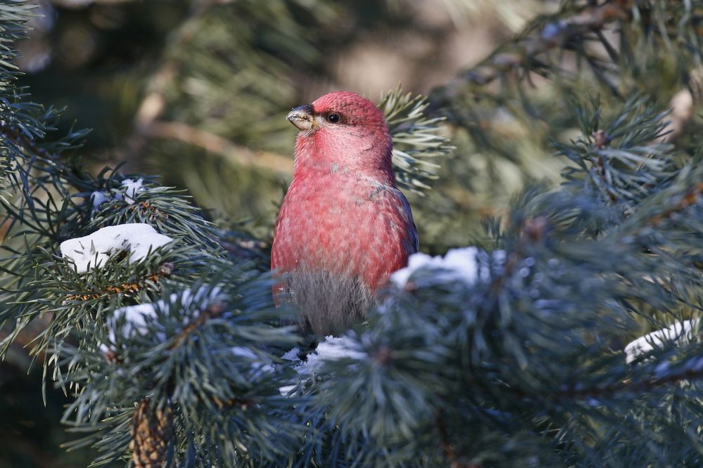 Photograph by Наталья Турчик