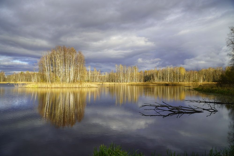 Photograph by Марина Безенкина