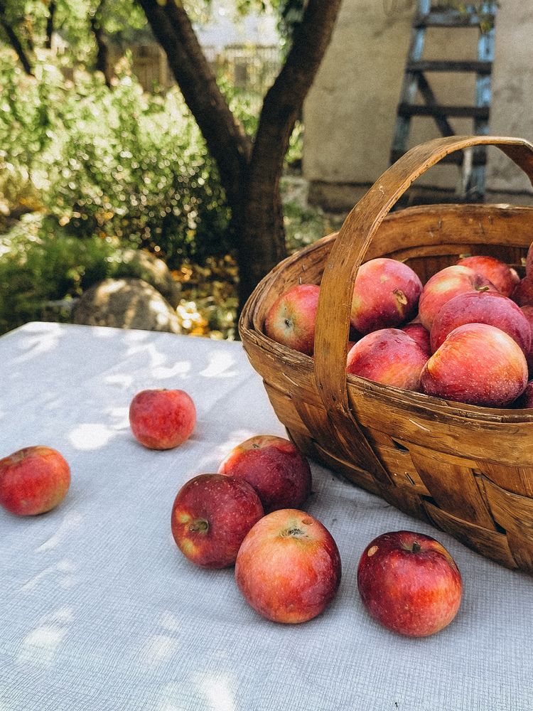 Photograph by Катрина Покумейко