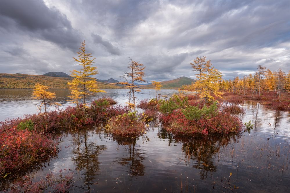 Photograph by Михаил Широбоков