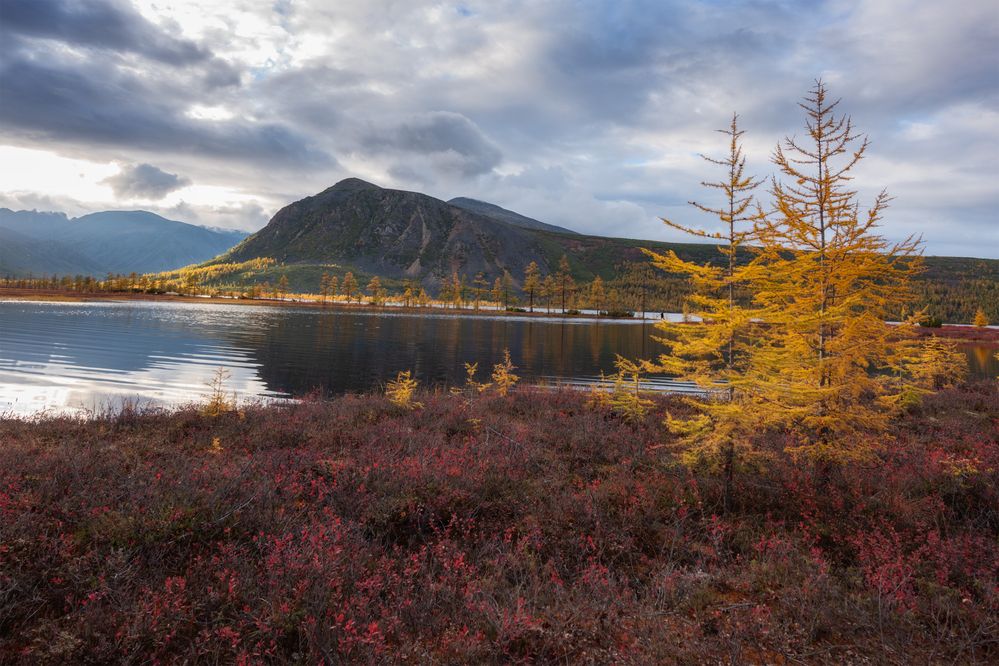 Photograph by Михаил Широбоков