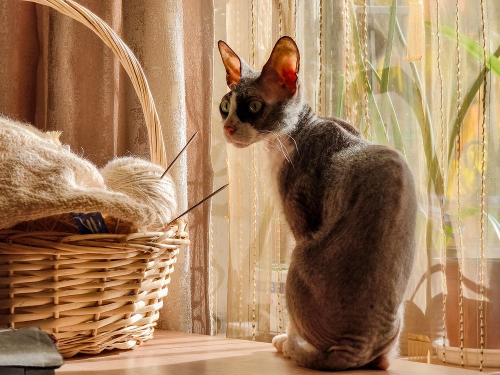 Photograph by Владимир Ли