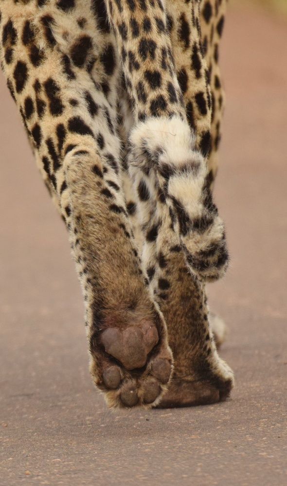 Photograph by Michelle Storm