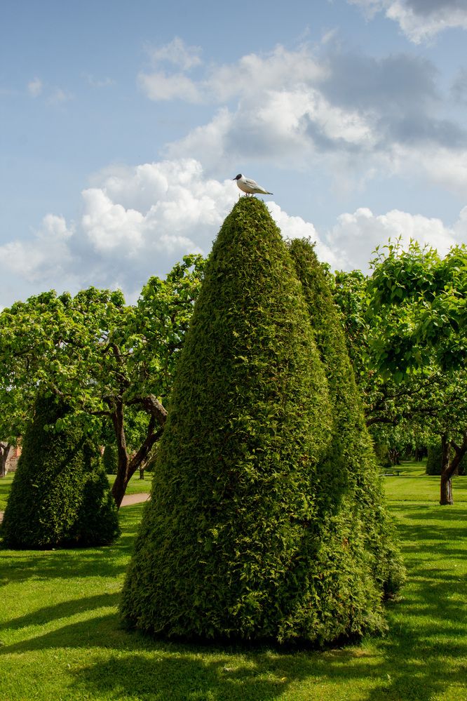Photograph by Наталья Бирюкова