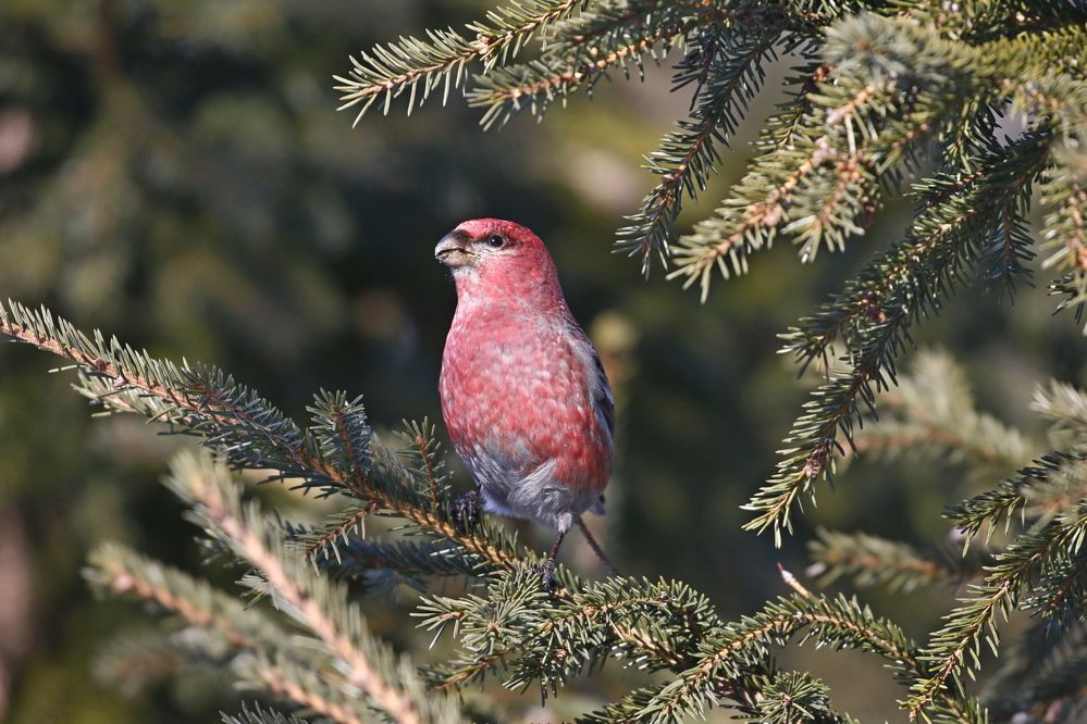 Photograph by Наталья Турчик