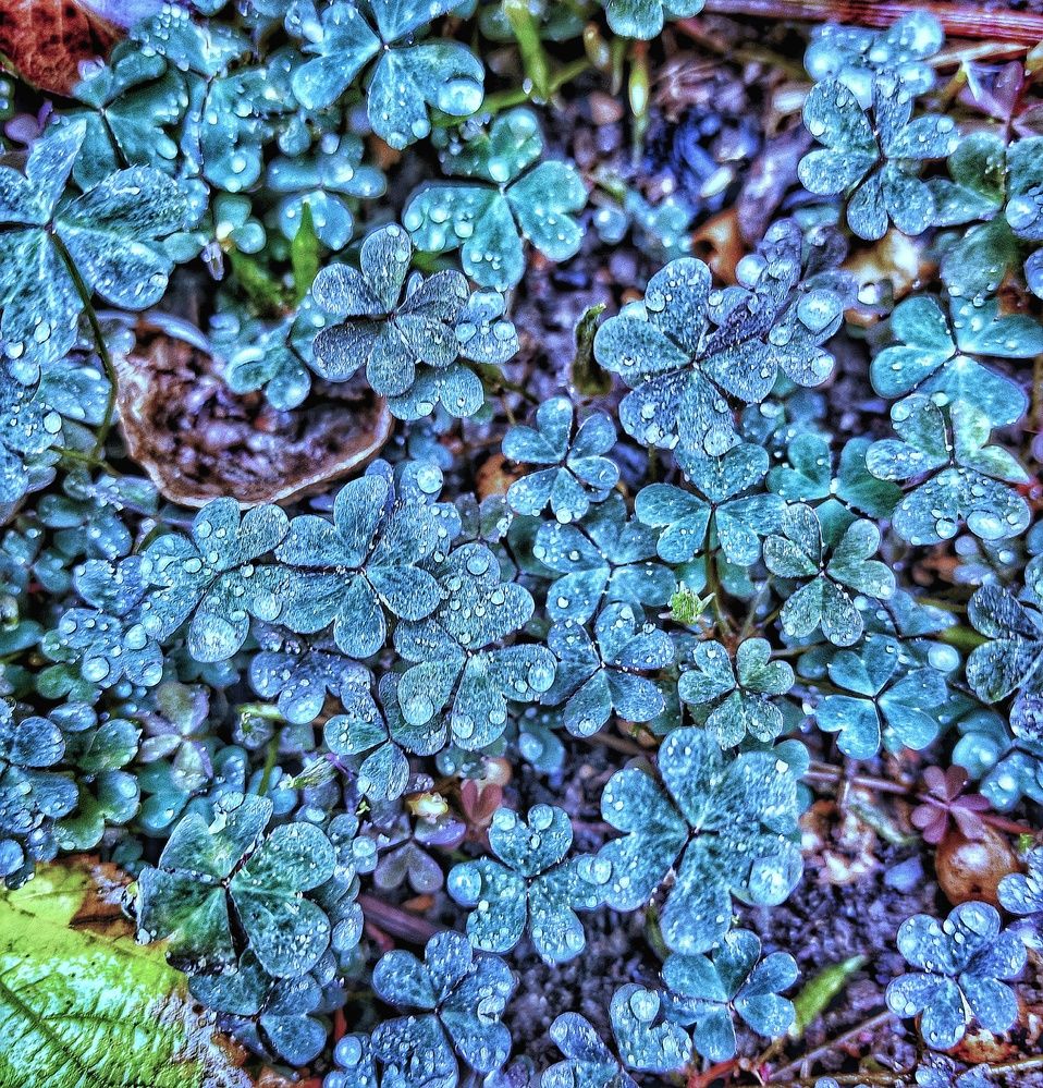 Фотография автора Сергей Кошин