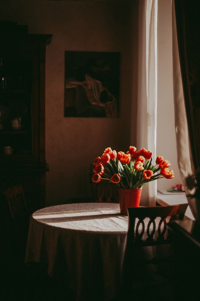 Photograph by Анастасия Китаева