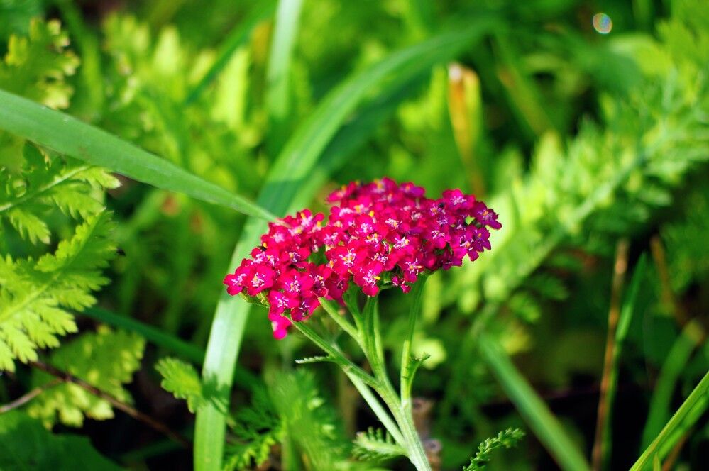 Photograph by Михаил Обертаев