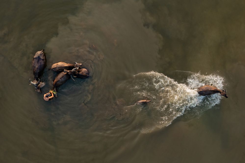 Photograph by Minh Tho Phan