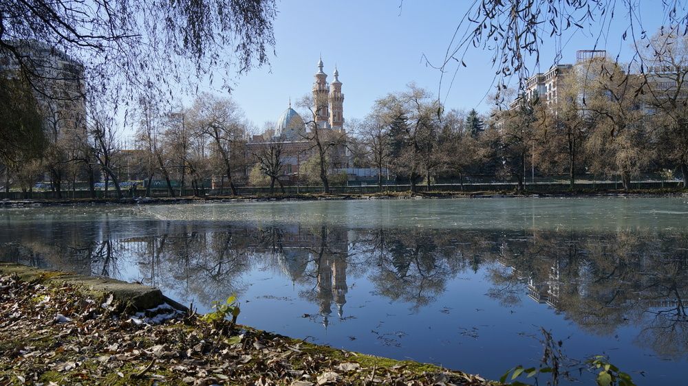 Фотография автора 