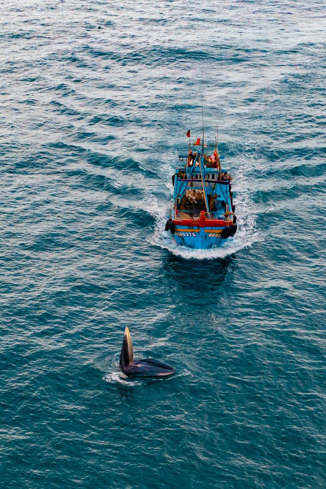 Photograph by Minh Tho Phan