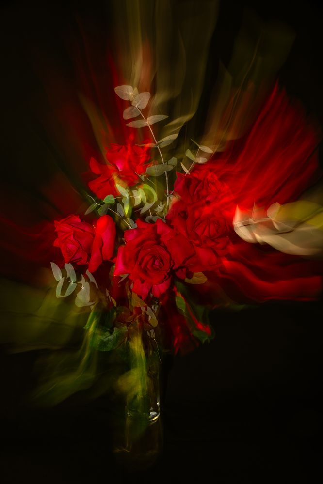 Photograph by Чернышова Наталья