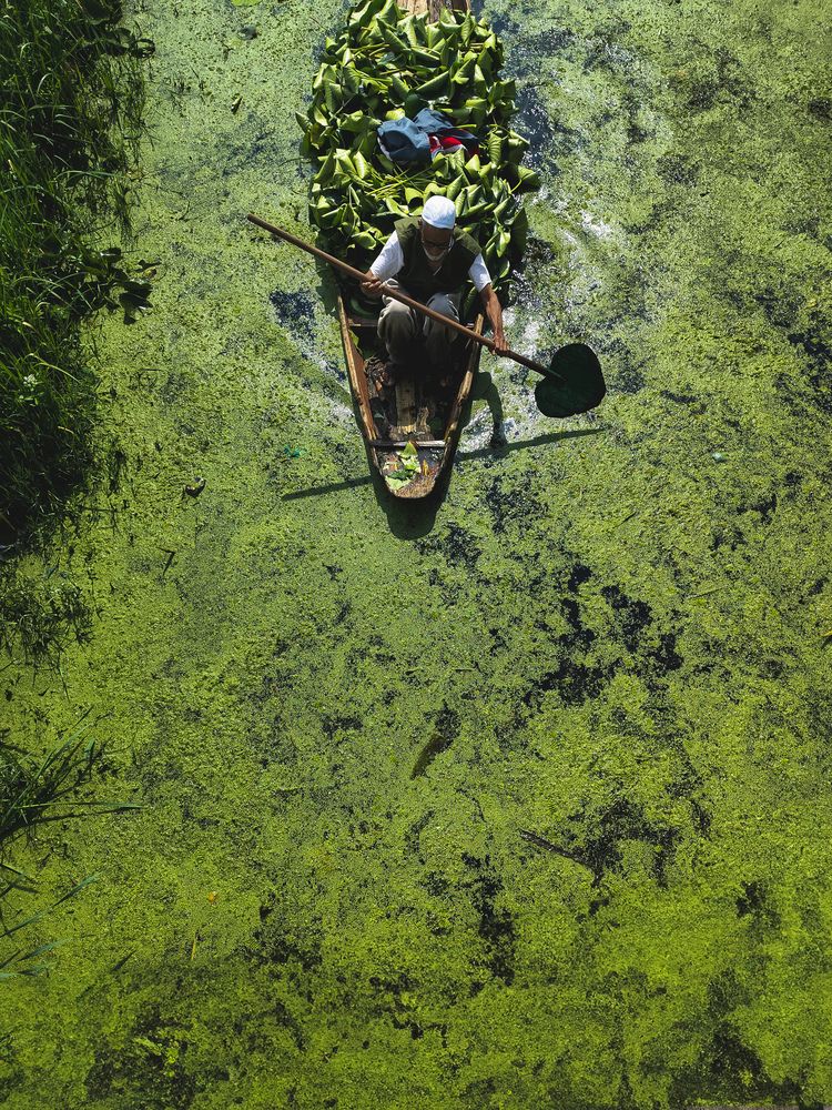 Boat on green