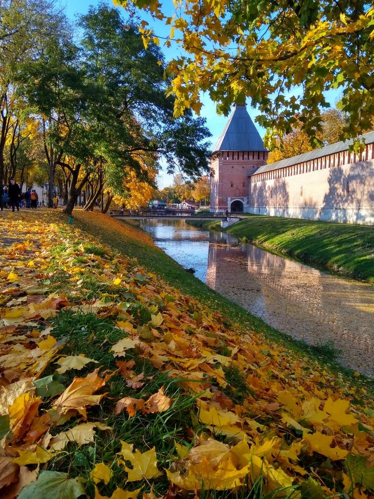 Золотая осень.