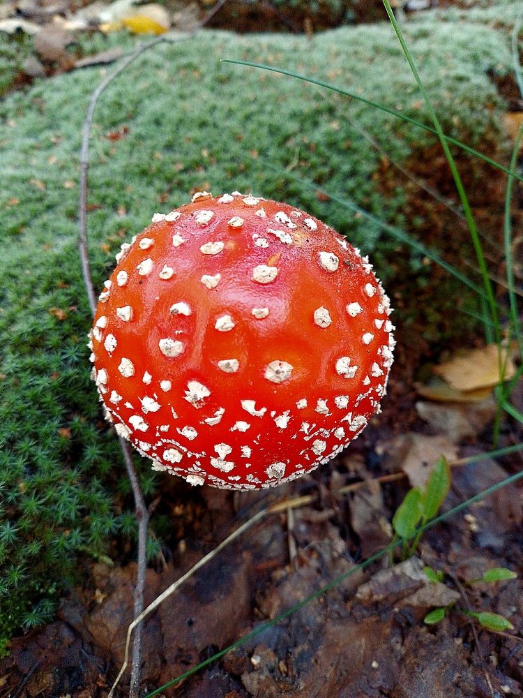 Фотография автора Наталья Бруёк
