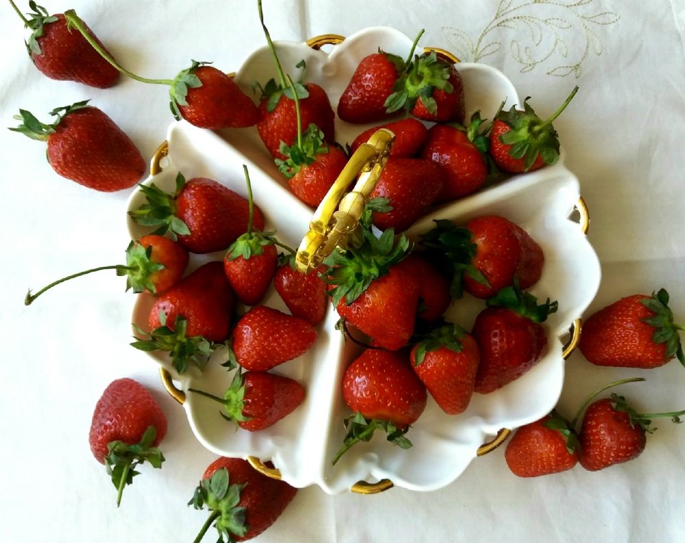 Фотография автора Наталья Бруёк