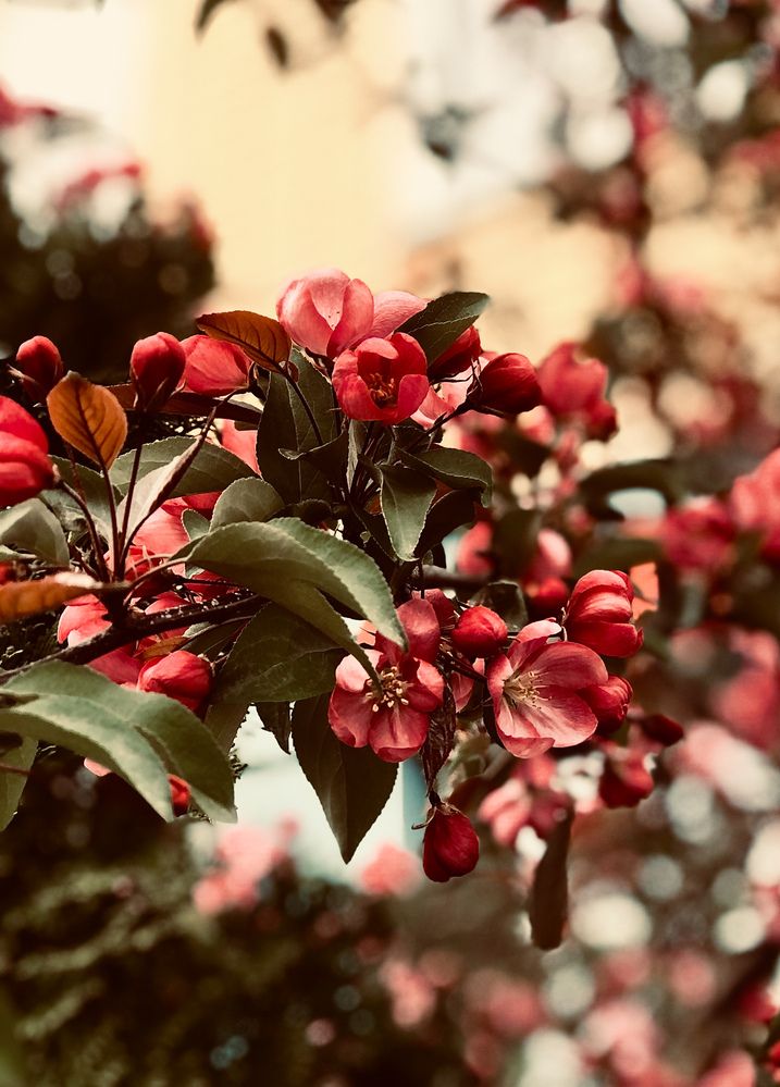 Photograph by Светлана Моисеева