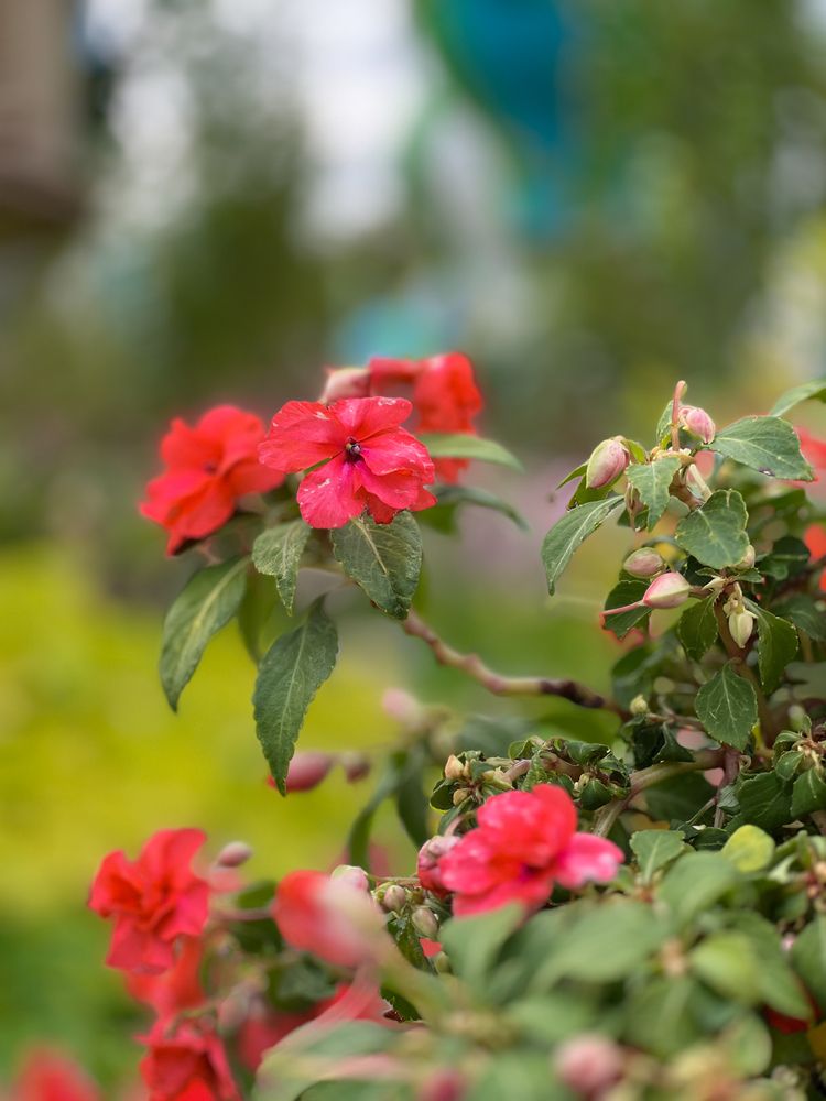 Photograph by Светлана Моисеева