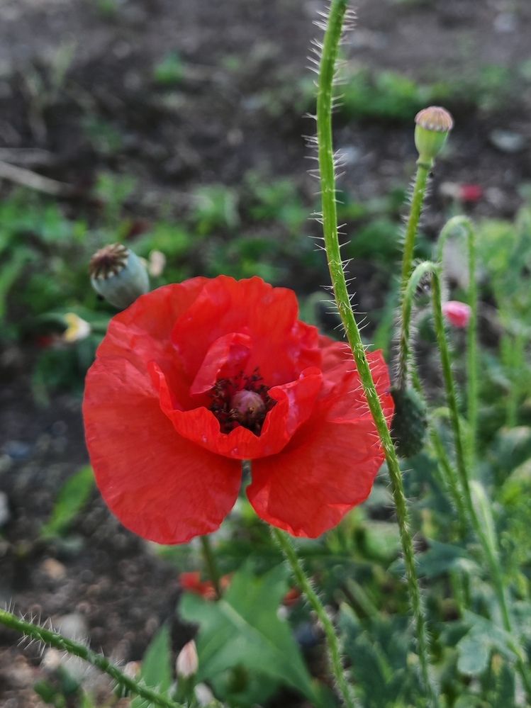 Photograph by Альбина Майкова